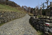 44 Proseguo sul sent. 506C per il Molinasco e il Sornadello